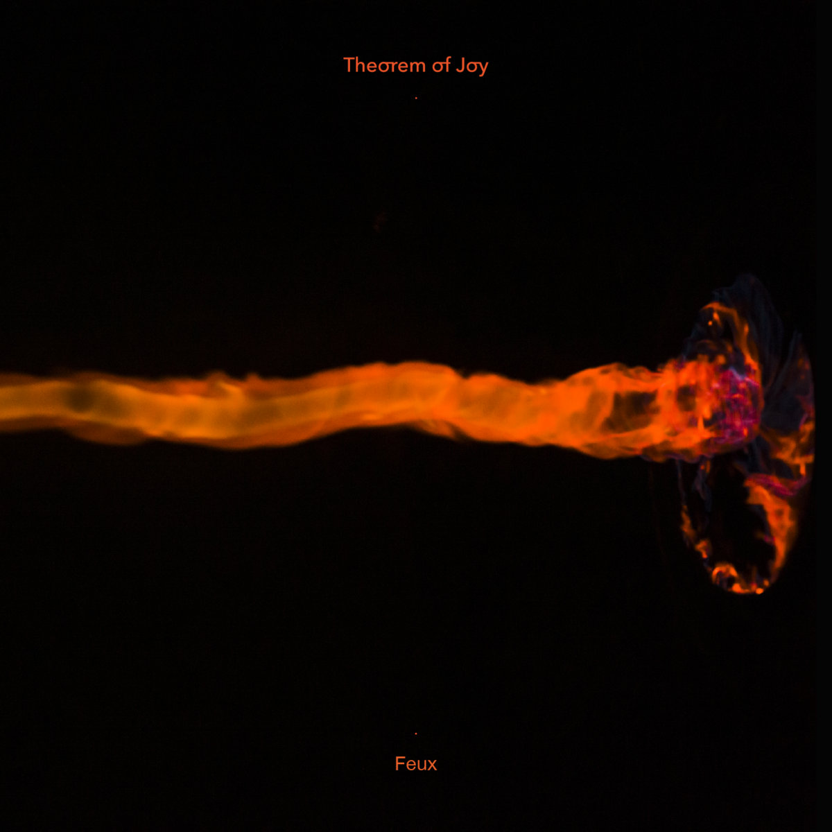 Theorem Of Joy –&nbsp;Feux